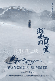 草民电影网_《旺姆的夏天》电影海报在线看